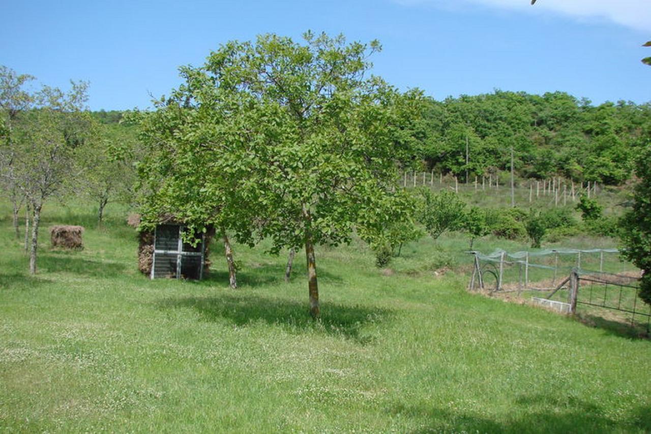 Casa Vacanza Le Corniole Civitella in Val di Chiana Eksteriør billede